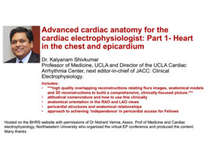 Part 1: Advanced cardiac anatomy for the cardiac electrophysiologist