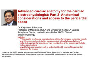 Part 2: Advanced cardiac anatomy for the cardiac electrophysiologist